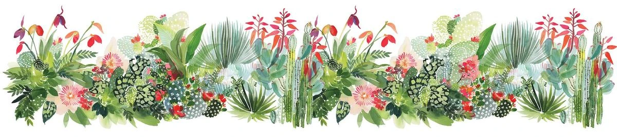 Cacti Oasis