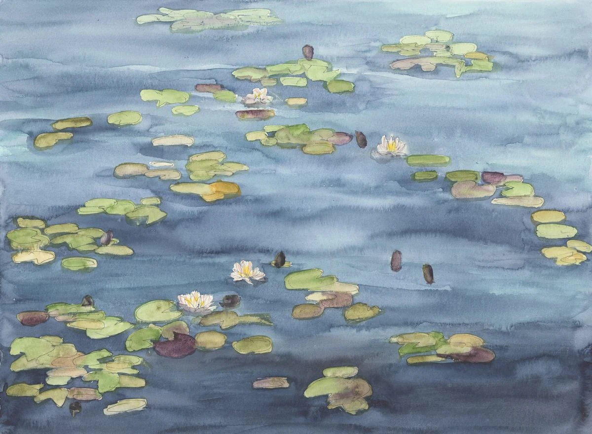 Lilies
