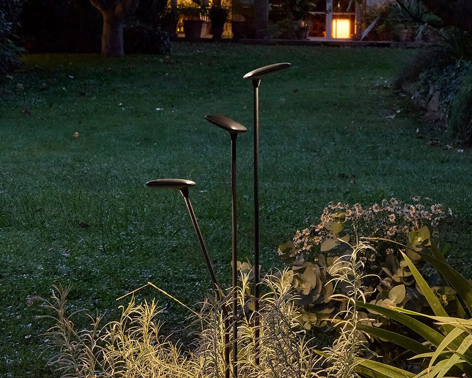 Birdie - Set 3 - Outdoor