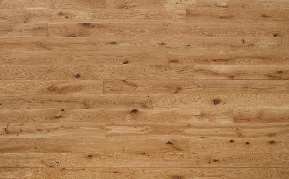 Oak Nature