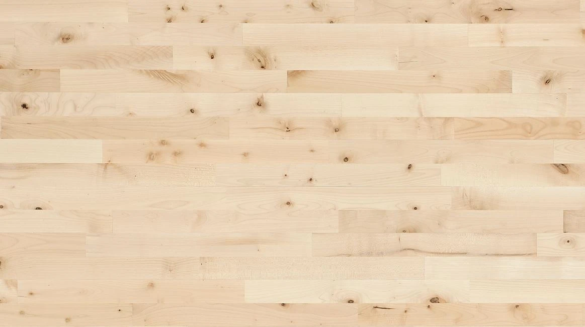 Maple Nordic